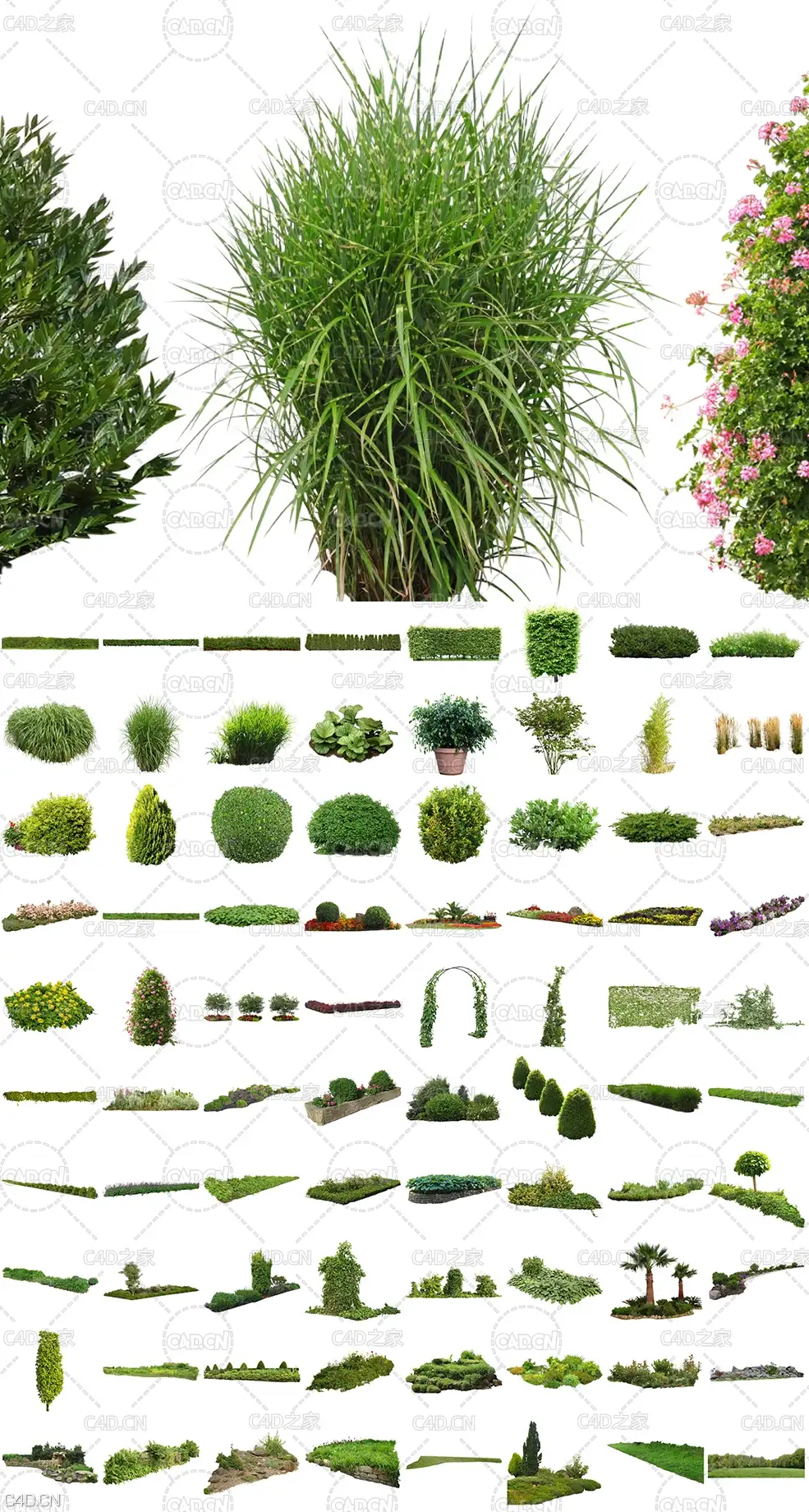 320张高精度园林绿化免抠植物贴图素材合集 Tony Textures – Cutout Plants Vol. 1-4 - C4D之家 - Cutout-Vegetation-V01_Overview.jpg