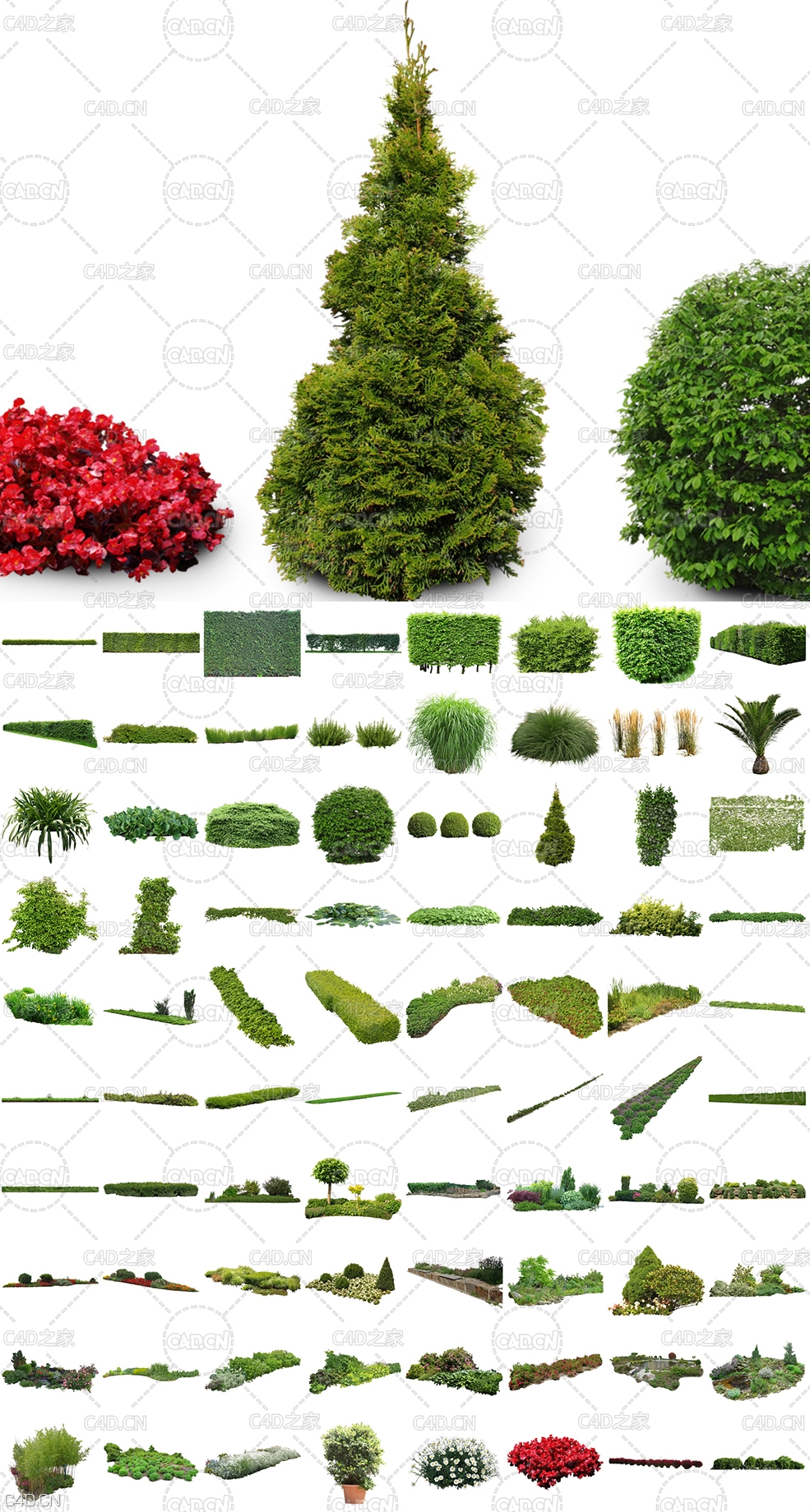 320张高精度园林绿化免抠植物贴图素材合集 Tony Textures – Cutout Plants Vol. 1-4 - C4D之家 - Cutout-Vegetation-V02_Overview.jpg