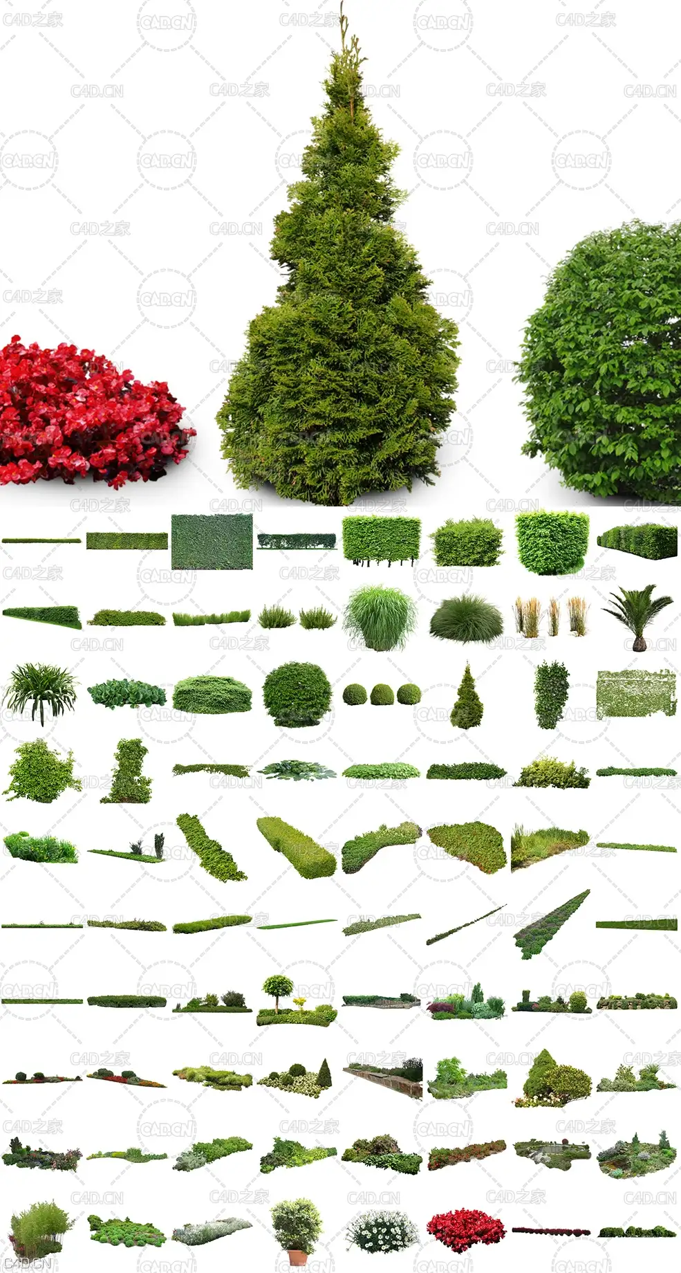 320张高精度园林绿化免抠植物贴图素材合集 Tony Textures – Cutout Plants Vol. 1-4 - C4D之家 - Cutout-Vegetation-V02_Overview.jpg