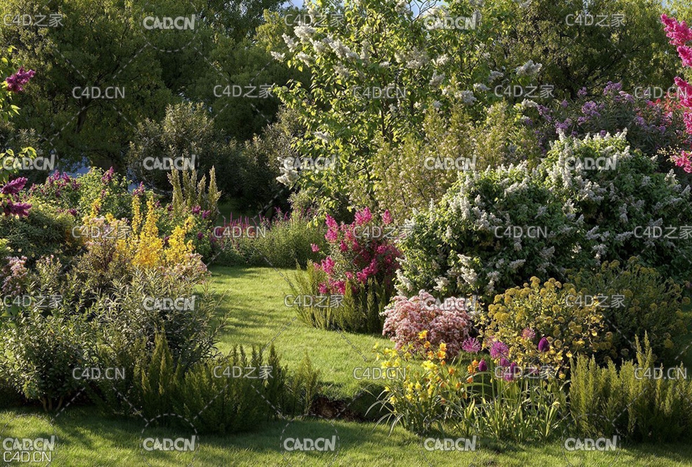 90个园林绿化景观植物3D模型 Maxtree – Plant Models Vol. 33