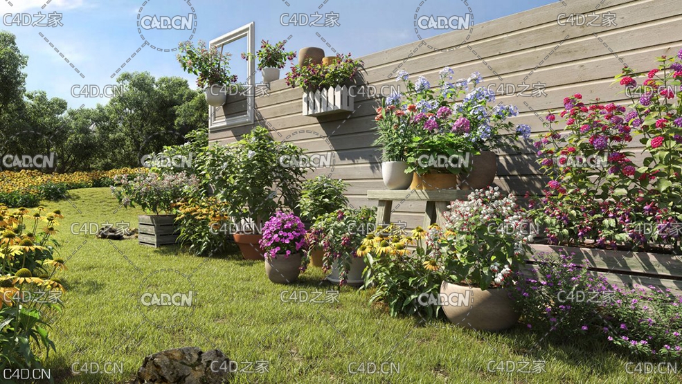 72个花卉植物3D模型合集 Maxtree – Plant Models Vol. 34