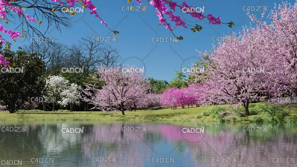72个满树开花的3D树木模型 桃花 杏花 樱花 春天树木 开花的树 园林树木 景观树