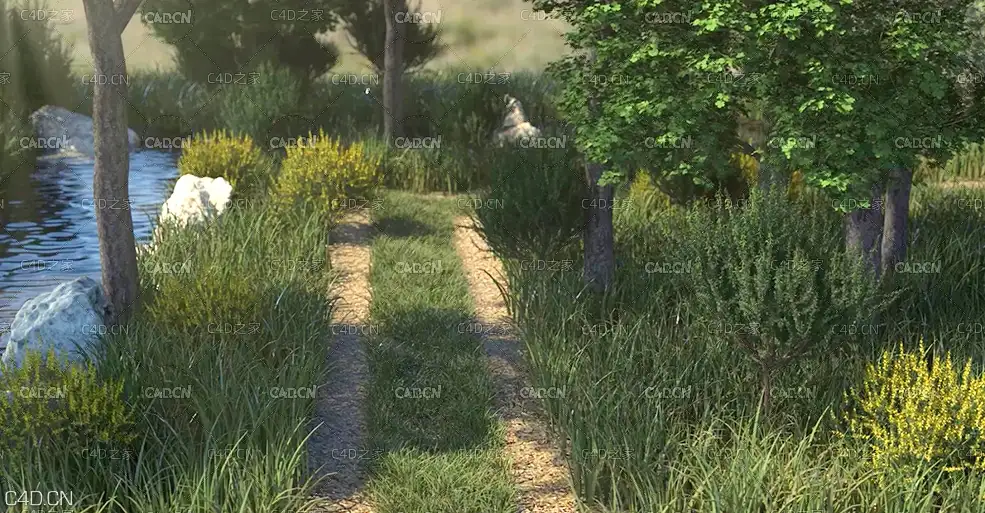C4D创建逼真室外森林环境场景教程Create realistic exterior environement using C4D
