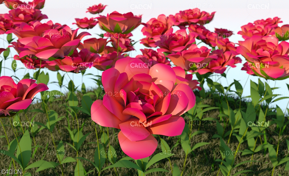 红玫瑰花C4D模型 Roses Red - C4D之家 - Roses-Red.jpg