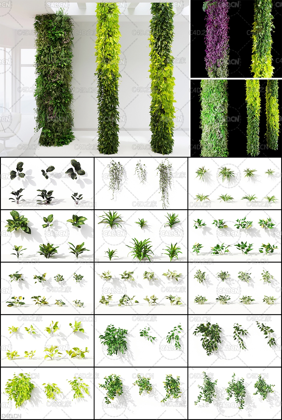 室内景观绿植墙3D模型 Maxtree Plant Models Vol. 10