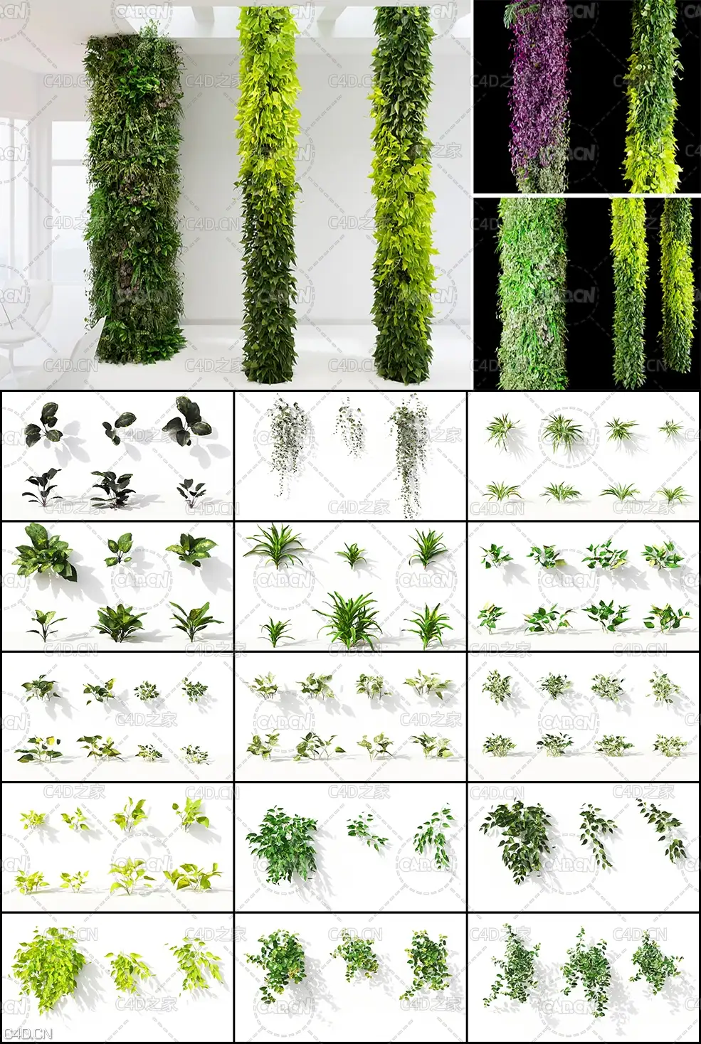 室内景观绿植墙3D模型 Maxtree Plant Models Vol. 10