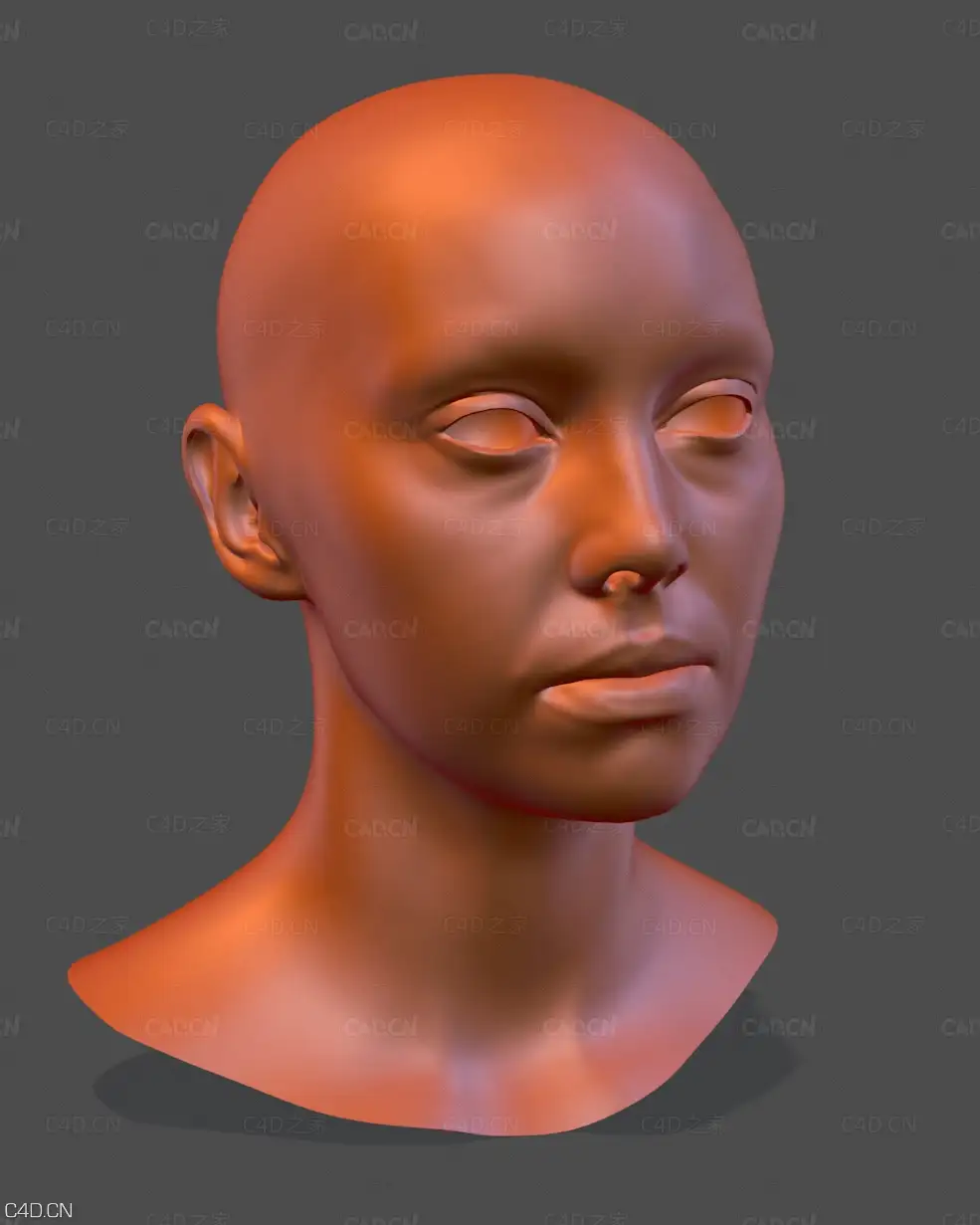 C4D人物头像模型 - C4D之家 - LCDesign_TutorialXPDissolve_start.jpg