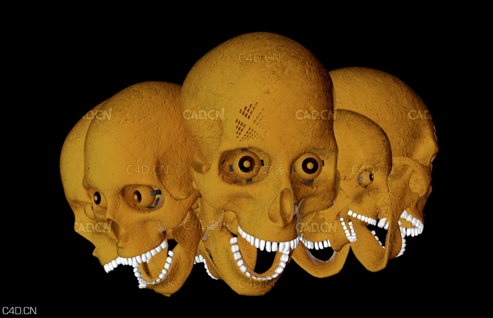 C4D骷髅头模型 Liquid Skull - C4D之家 - 1.jpg