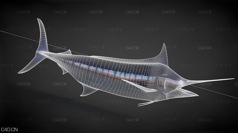 C4D中将枪鱼展UV案例教程 Marlin UV Mapping in C4D