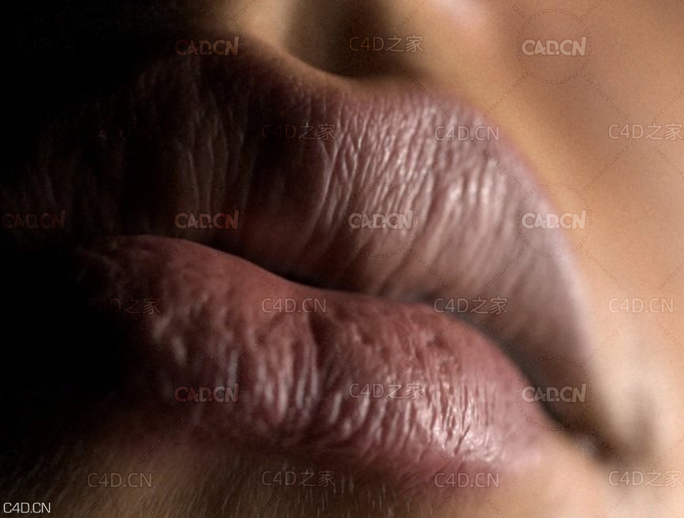 女性皮肤图片素材贴图 TexturingXYZ – Female Collection