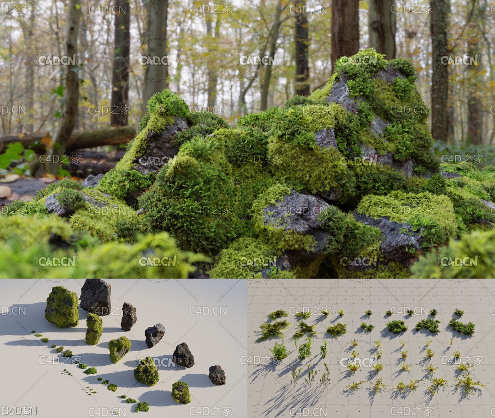 苔藓 苔藓植物 青苔石头C4D模型 CgTrader-Moss 7 Species and Stones - PBR Asset Kit