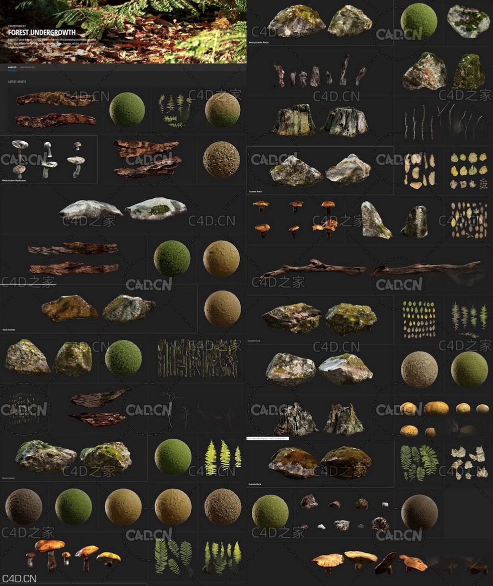森林灌木丛 苔藓 岩石 树叶 树枝 树桩和蘑菇3D模型 Quixel – FOREST UNDERGROWTH - C4D之家 - f9RnjVH.jpg