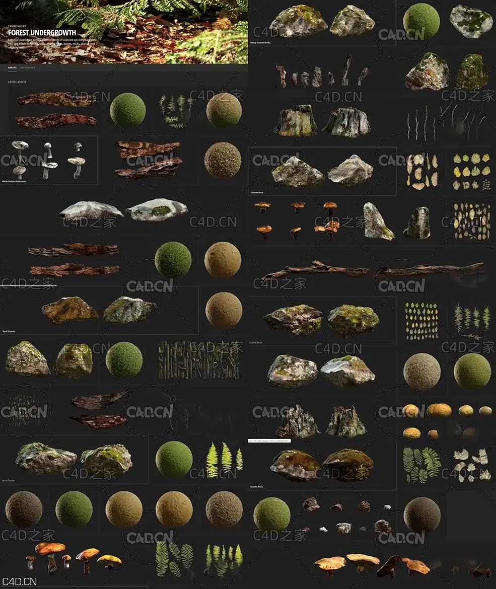森林灌木丛 苔藓 岩石 树叶 树枝 树桩和蘑菇3D模型 Quixel – FOREST UNDERGROWTH