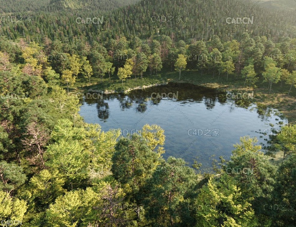 森林公园人造湖湖泊3D场景模型(MAX模型) Nouvelle Mesure Lab – Beaver Lake Pack