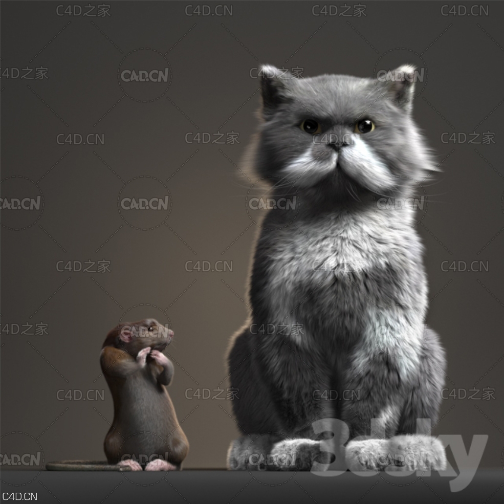 老鼠和猫C4D模型 Rat and Cat