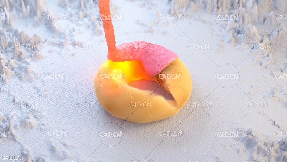 C4D Octane流体甜甜圈生成动画 Donut