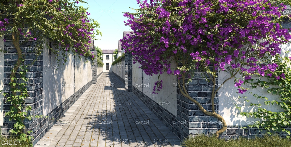 19种围墙攀爬藤类景观植物（爬墙虎 葡萄 三角花 杜鹃 金银花 蔷薇 常春藤）