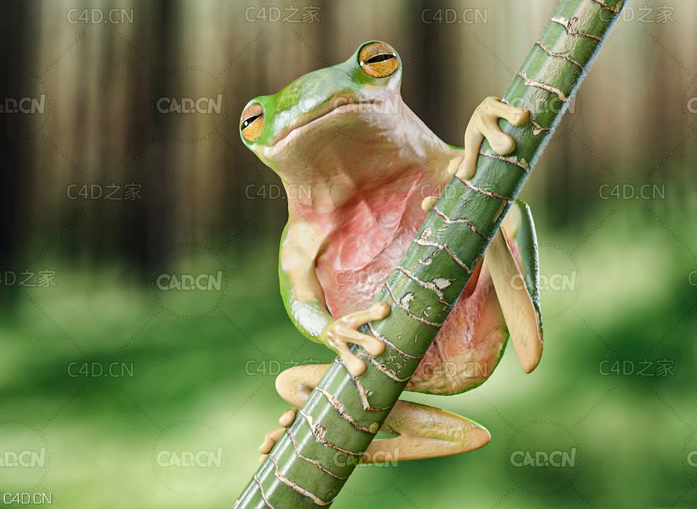 C4D青蛙建模渲染视频教程 The Frog Tutorial 2x speed - CINEMA 4D