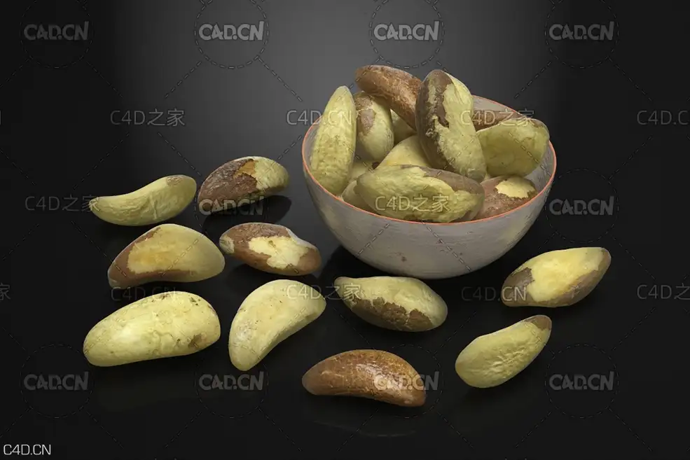 巴西栗 巴西坚果 巴西果 鲍鱼果C4D模型 Brazil nuts - C4D之家 - AM224_002.jpg