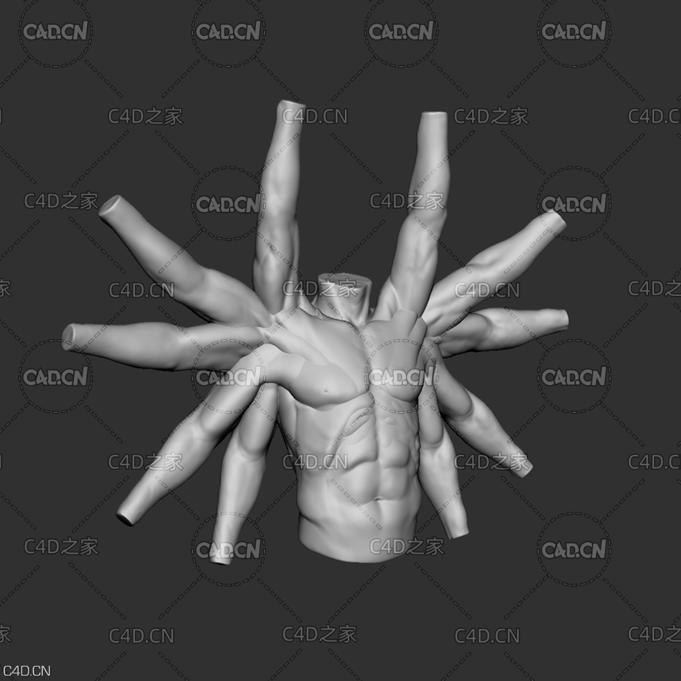 男性躯干肩部五种姿势3D模型 Male Torso shoulder movement sculptures - C4D之家 - torso_all.jpg