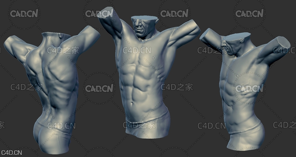 男性身体躯干C4D模型 torso sculpture - C4D之家 - f4.jpg