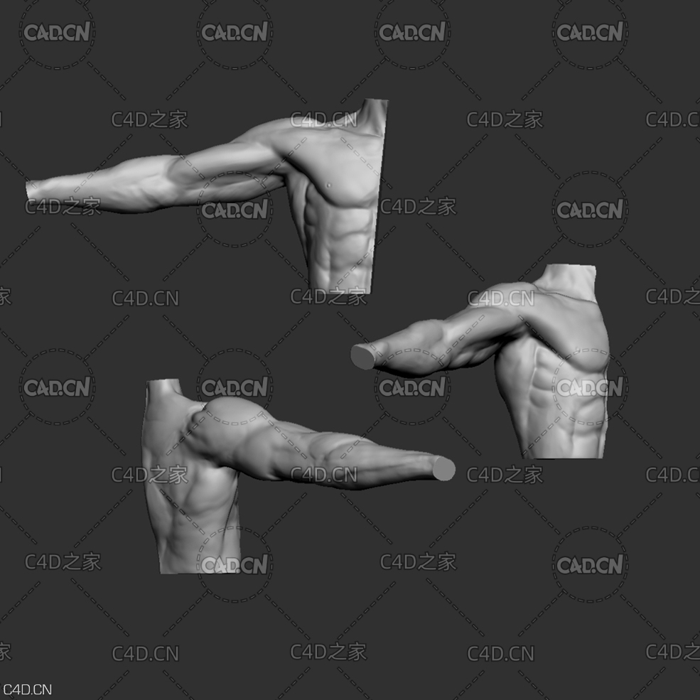 男性臂膀C4D模型 Arm - C4D之家 - previews.jpg