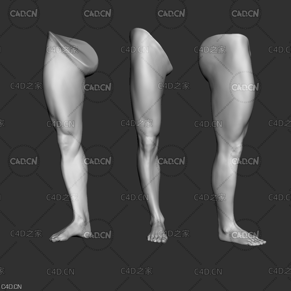 男性腿部模型 leg - C4D之家 - leg.jpg