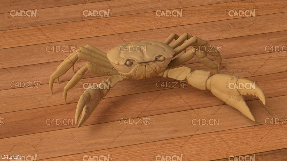 螃蟹C4D模型 crab