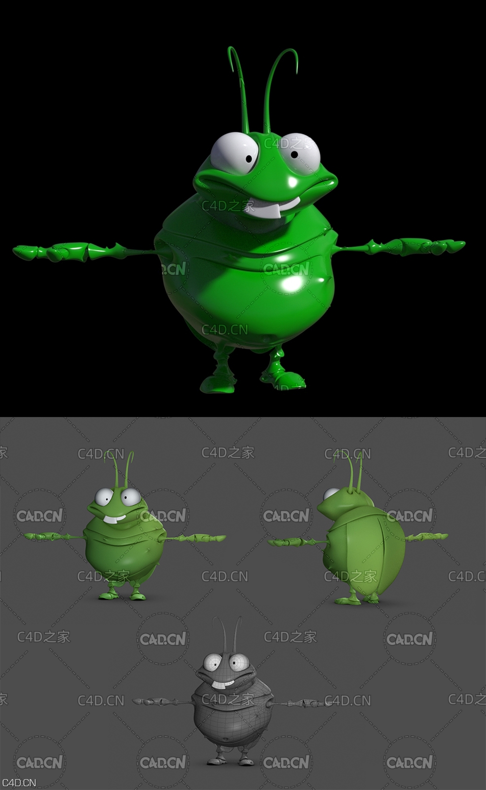 卡通甲虫 bug - C4D之家 - p1.jpg