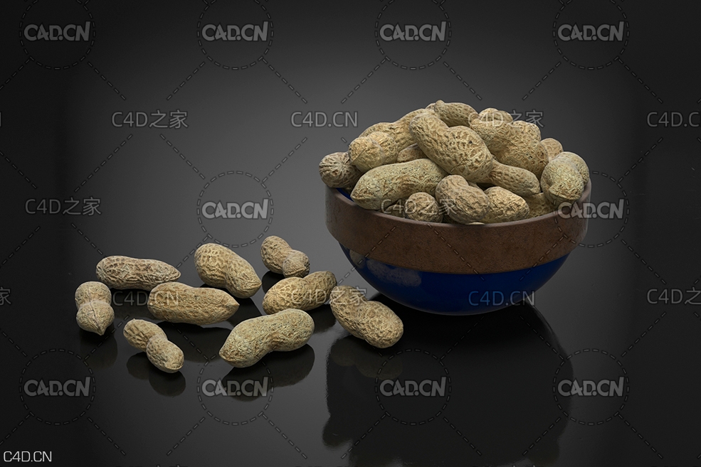 成熟的花生 Peanuts 落花生 长生果 泥豆 番豆 地豆 - C4D之家 - AM224_011.jpg