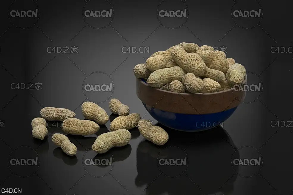 成熟的花生 Peanuts 落花生 长生果 泥豆 番豆 地豆 - C4D之家 - AM224_011.jpg