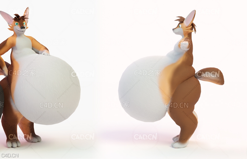 大肚皮的狐狸卡通角色模型 bellyfox