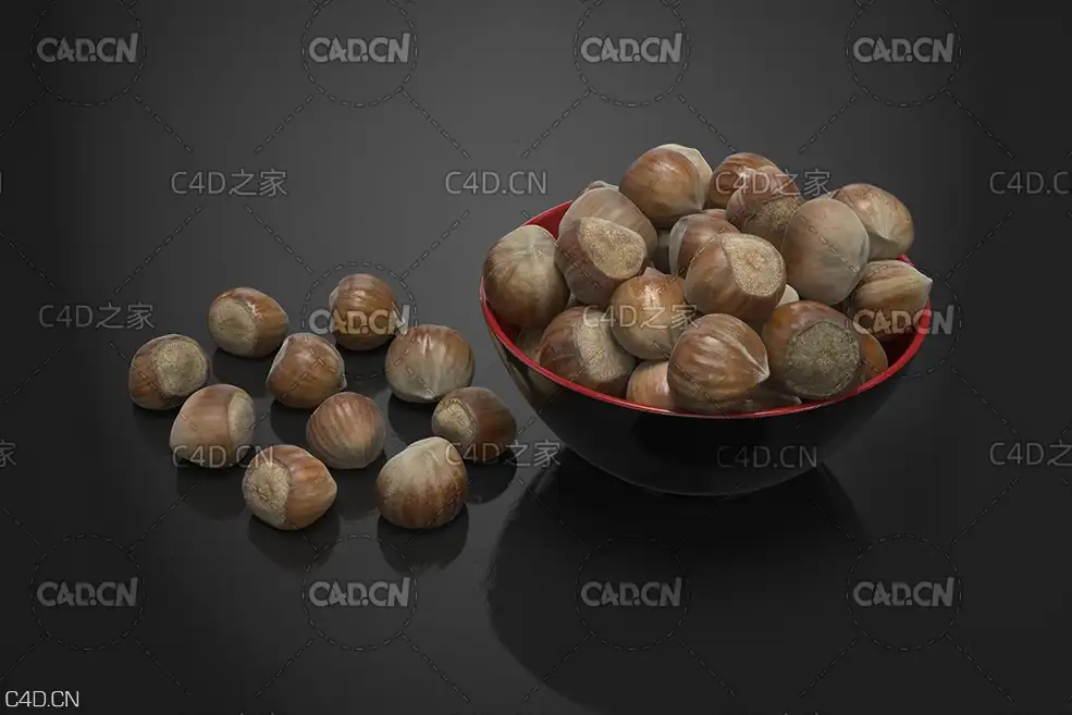 榛子 榛果 Hazelnuts - C4D之家 - AM224_013.jpg