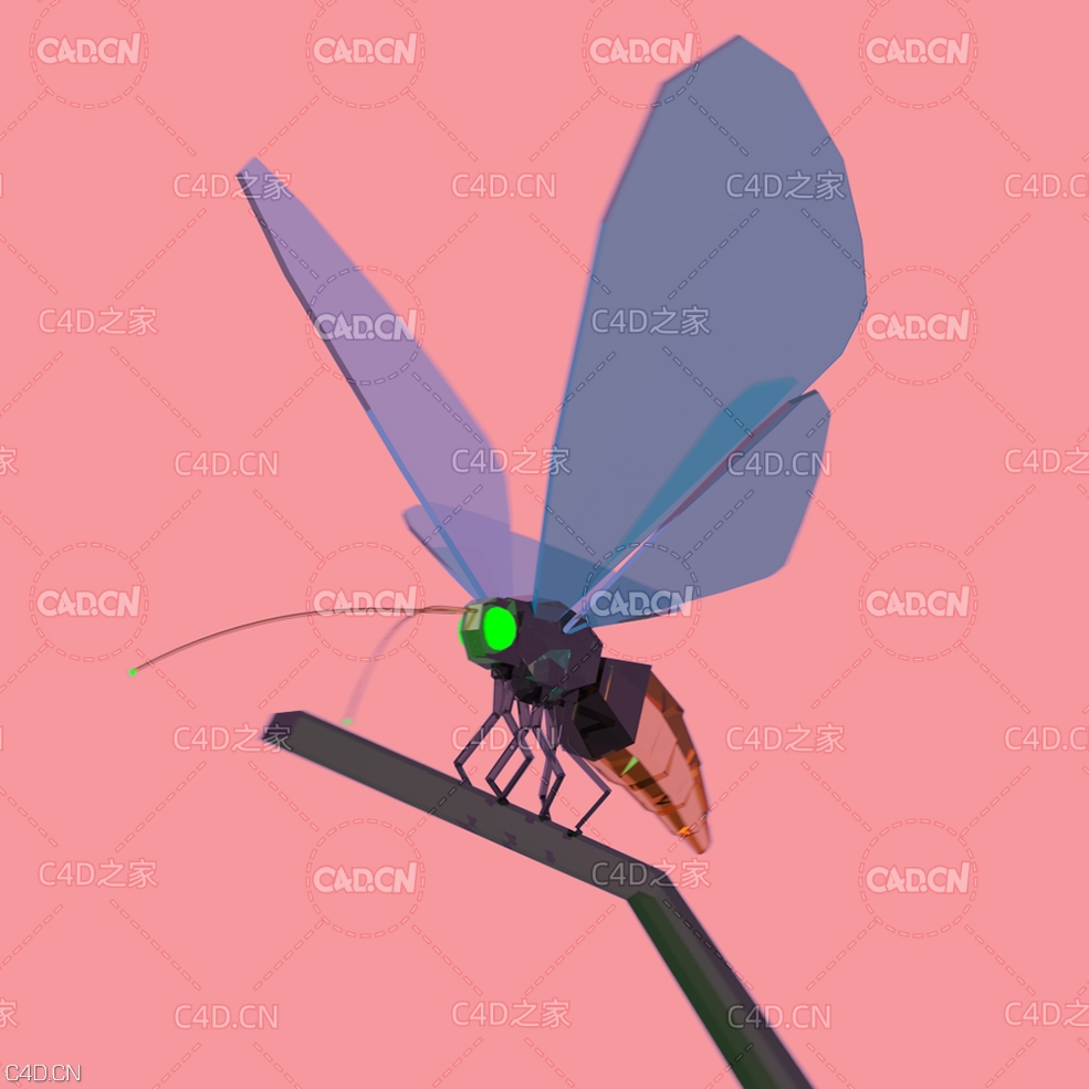 低面多边形蝴蝶 boxy butterfly - C4D之家 - butterfly_pose3.jpg