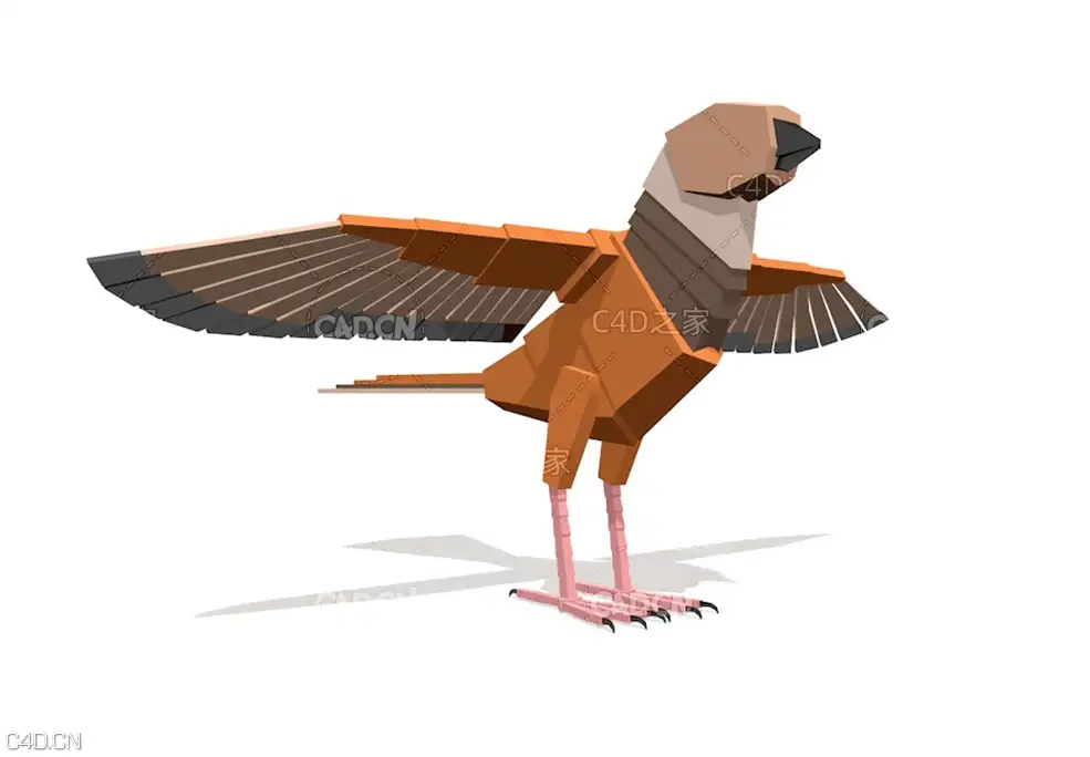 低面多边形小鸟 boxy bird