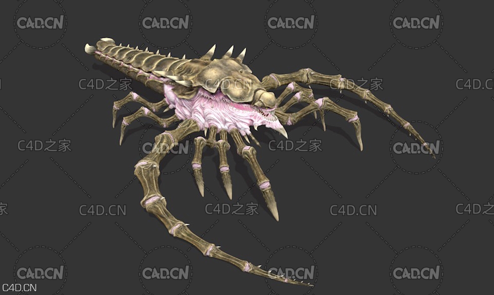 外星蝎子变异怪物 defiler - C4D之家 - 屏幕快照-2020-07-23-下午10.22.20.jpg