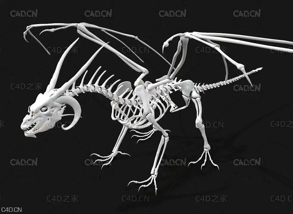 恐龙骨架 翼龙骨架 dragon
