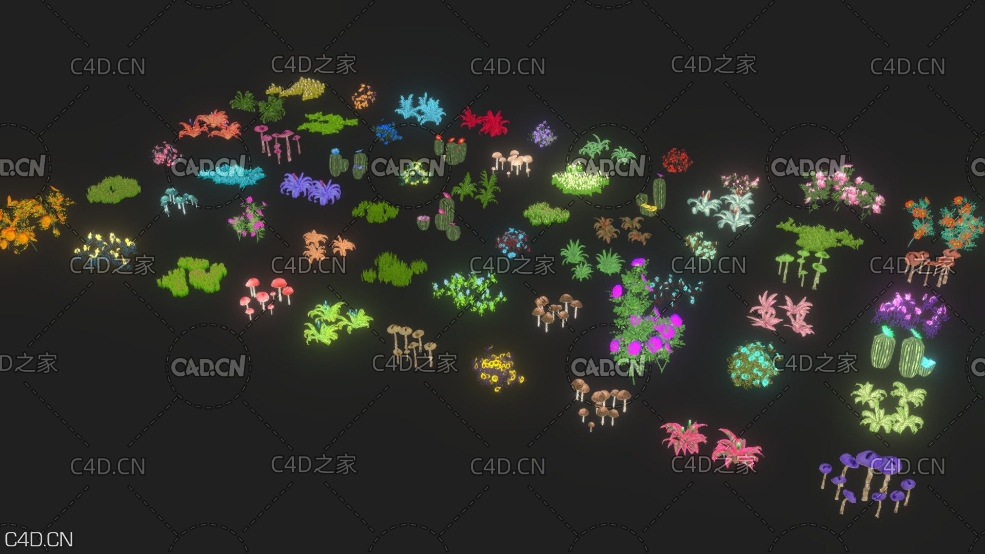 低面多边形植物花草 Low poly Cartoon Flower Collection - C4D之家 - thumbnail.jpg