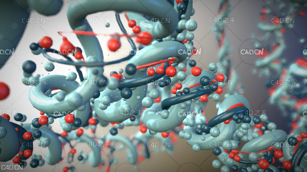 血管 细胞结构 Abstract String