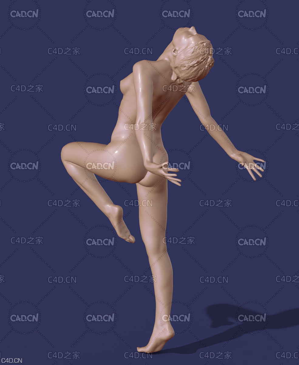 抬腿仰头的女人 跳舞的女性 女人姿势c4d模型 Female Poses - C4D之家 - Female_Poses.jpg