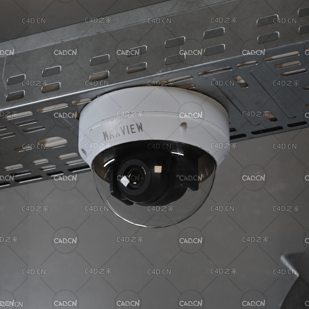 球型监控摄像头 Ball surveillance camera