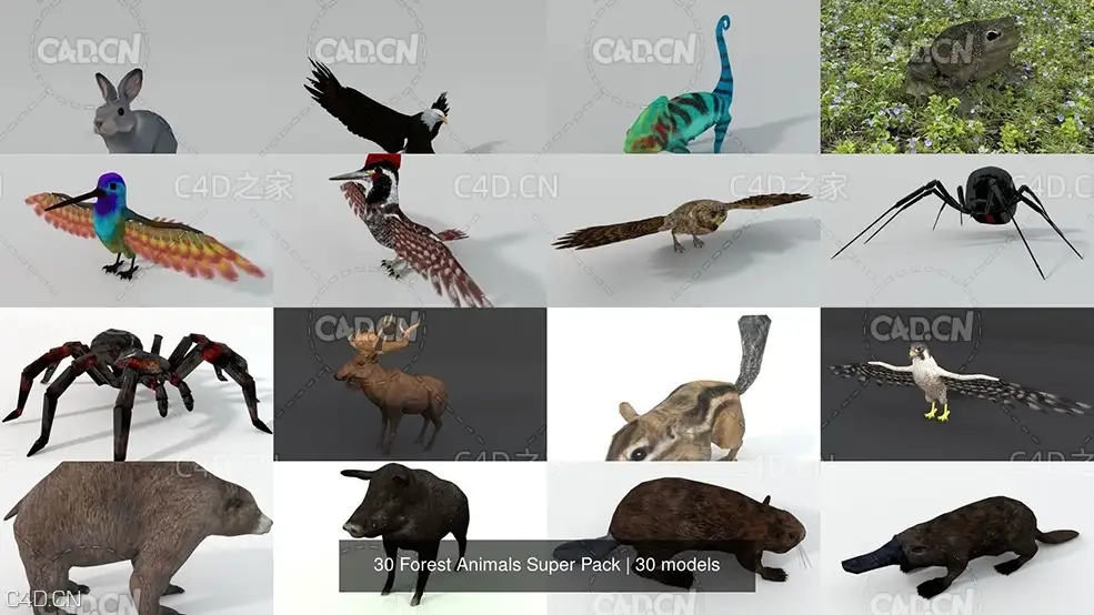 30个森林动物三维模型集合 30 Forest Animals Super Pack 3D Model Collection