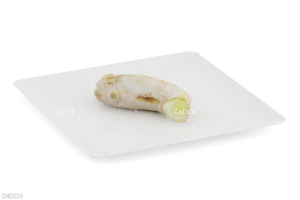 盘子里的一块生姜C4D模型 Ginger - C4D之家 - cgaxis_models_71_17.jpg