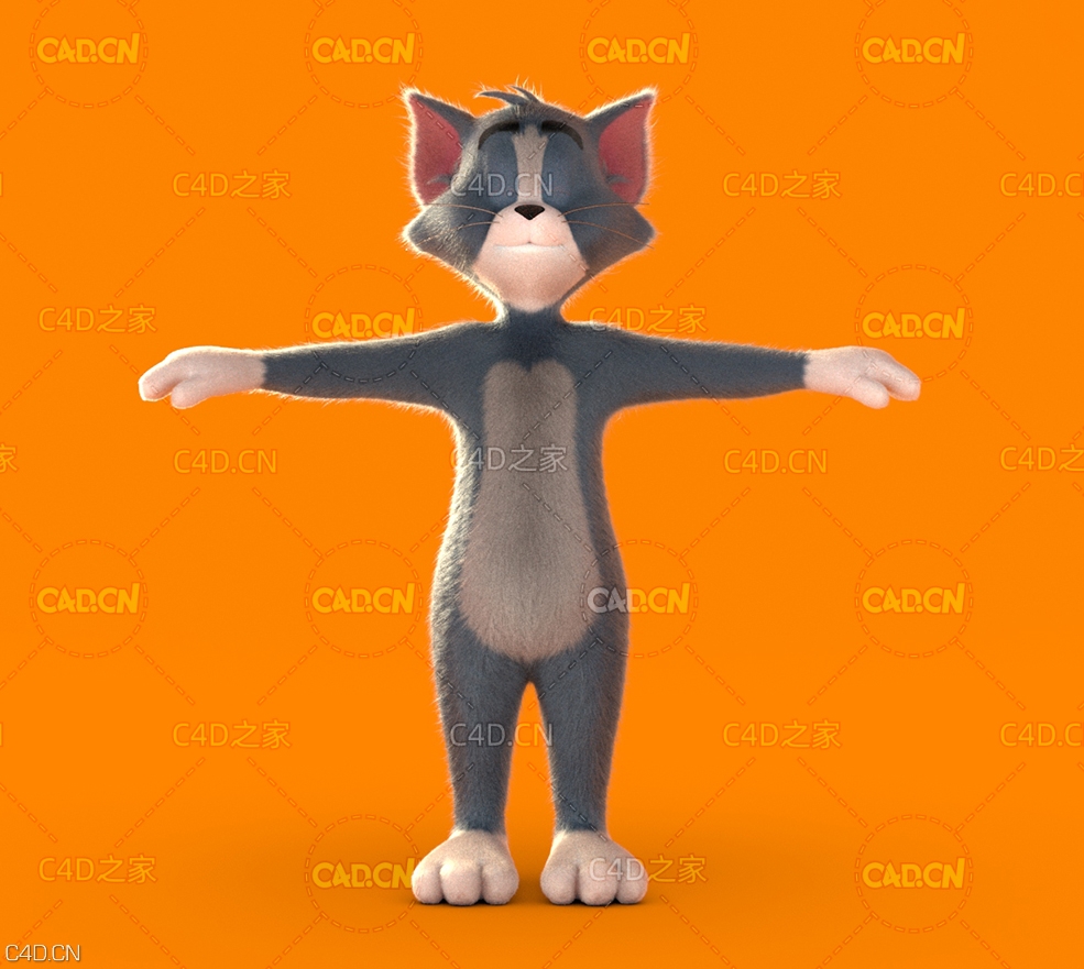 汤姆猫 TOMAS(MAYA/C4D) - C4D之家 - tomas_fur_0.jpg