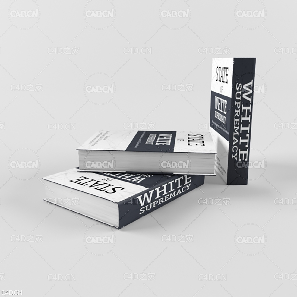 英文书籍C4D模型