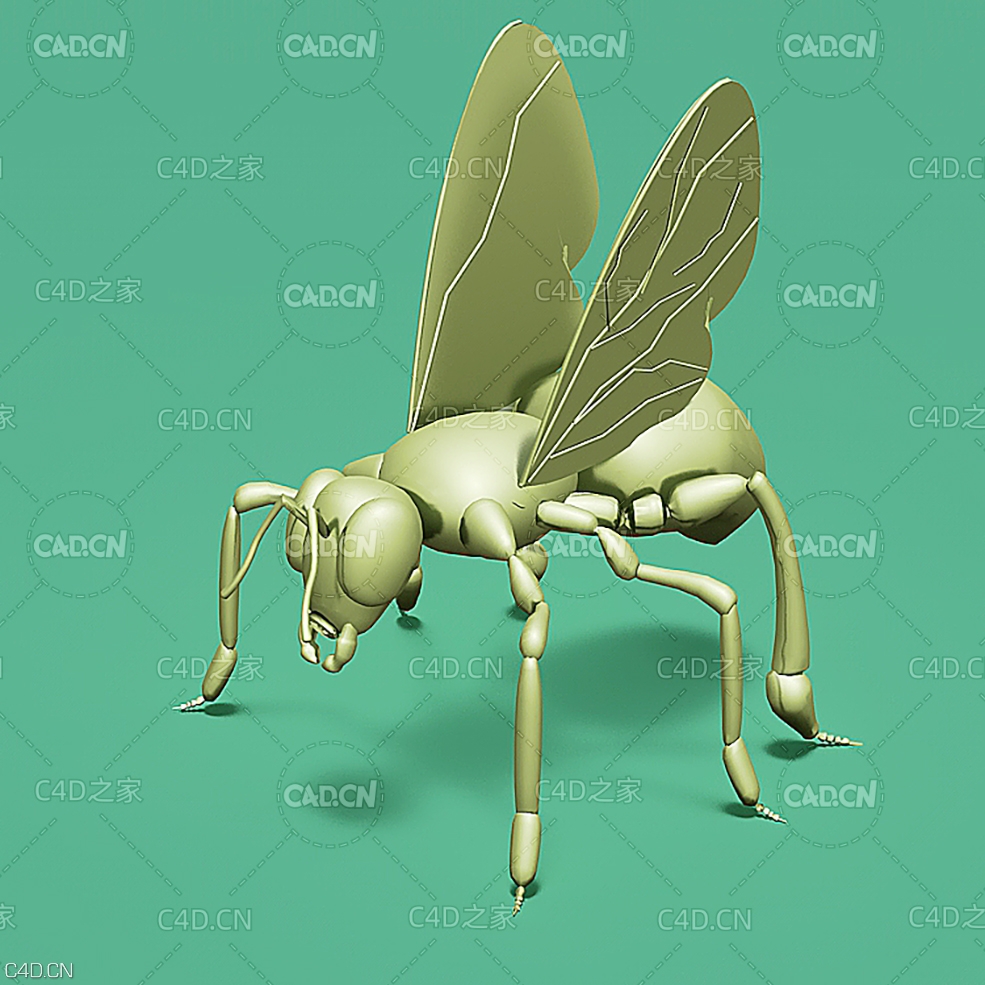 黄蜂马蜂模型 Wasp