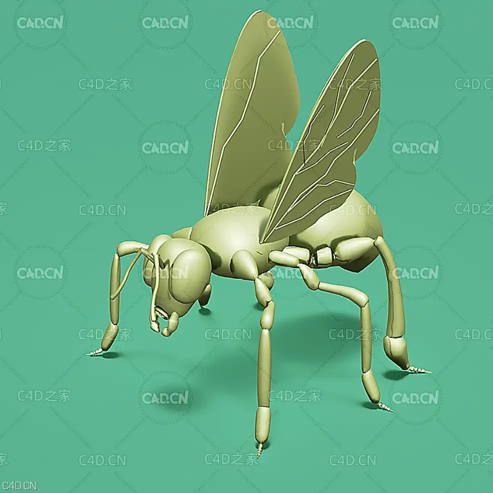黄蜂马蜂模型 Wasp