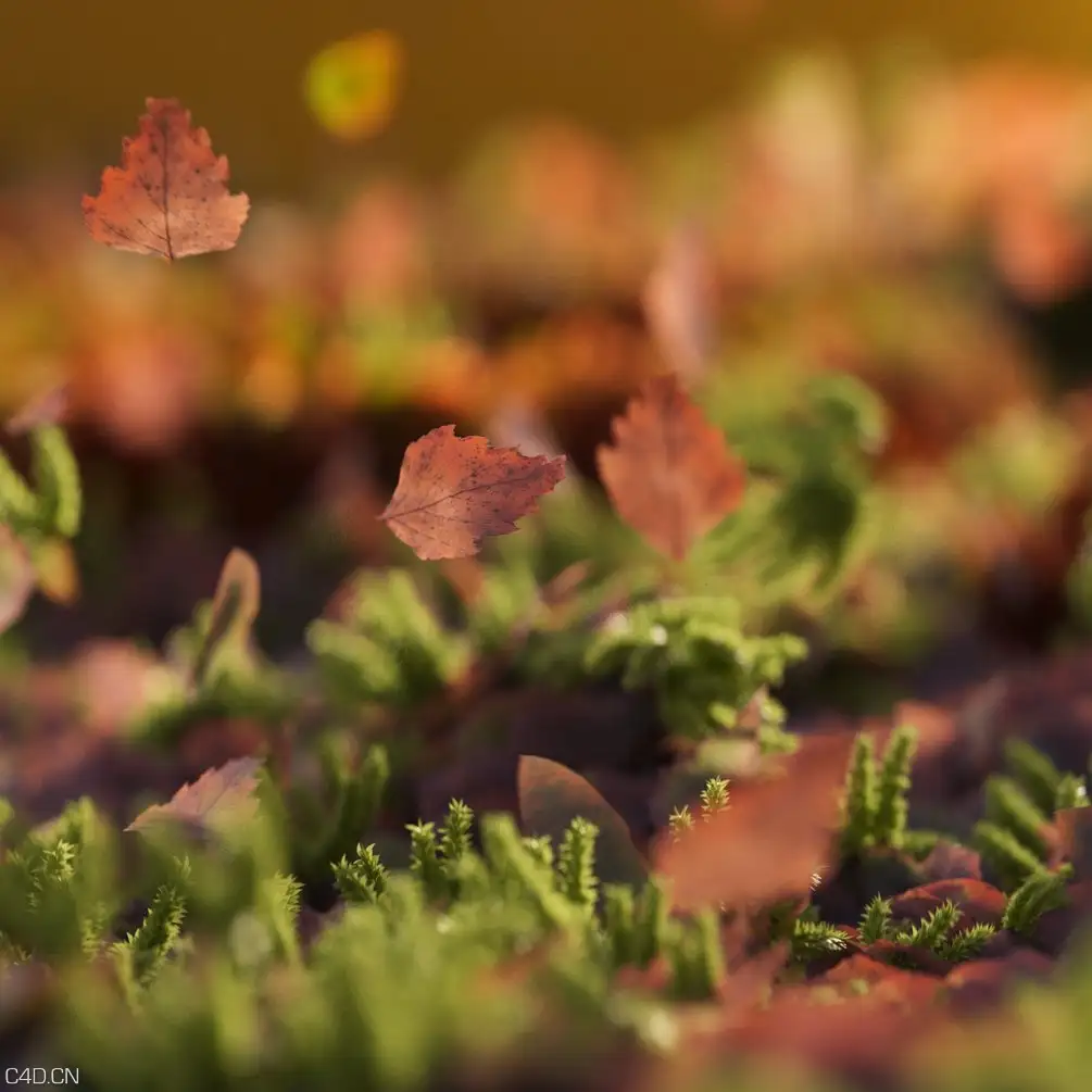 苔藓树叶C4D OC模型 Leaves
