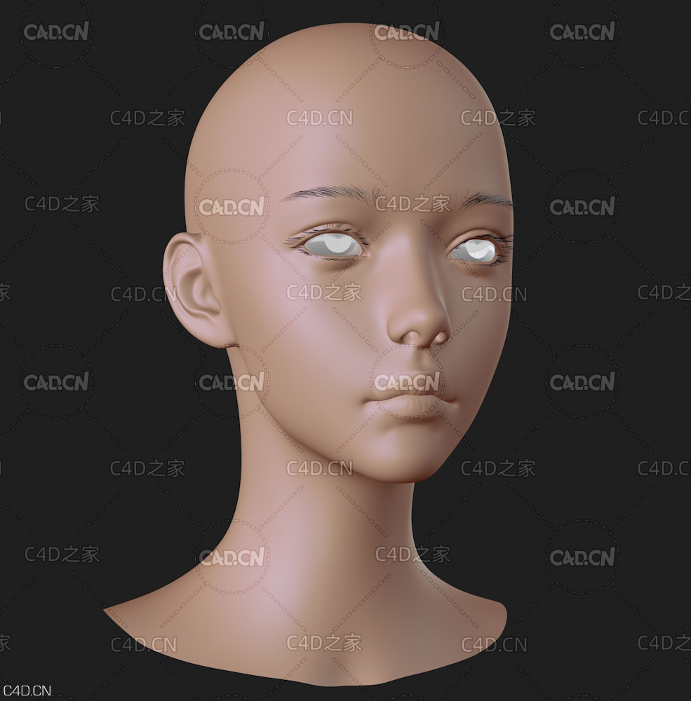 女生头部模型 Cuberbrush - Cute Girl Head - C4D之家 - C4D.jpg