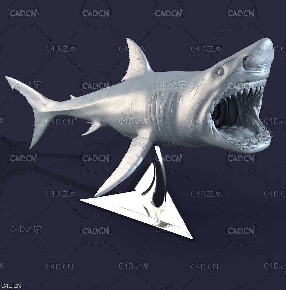 高精度白鲨雕塑雕刻模型 Cuberbrush - White Shark Statue - C4D之家 - 07_Shark_Cinema4D.jpg